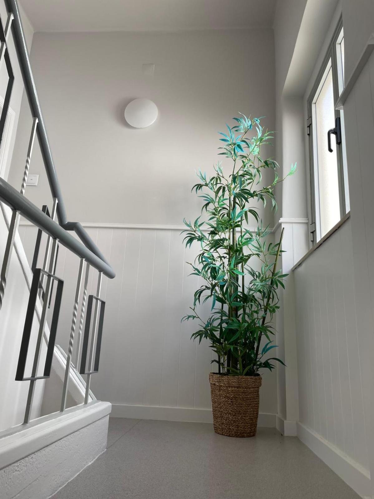 Apartament Lugar Dos Avos Nazaré Pokój zdjęcie